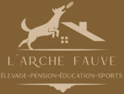 L'Arche Fauve - élevage canin