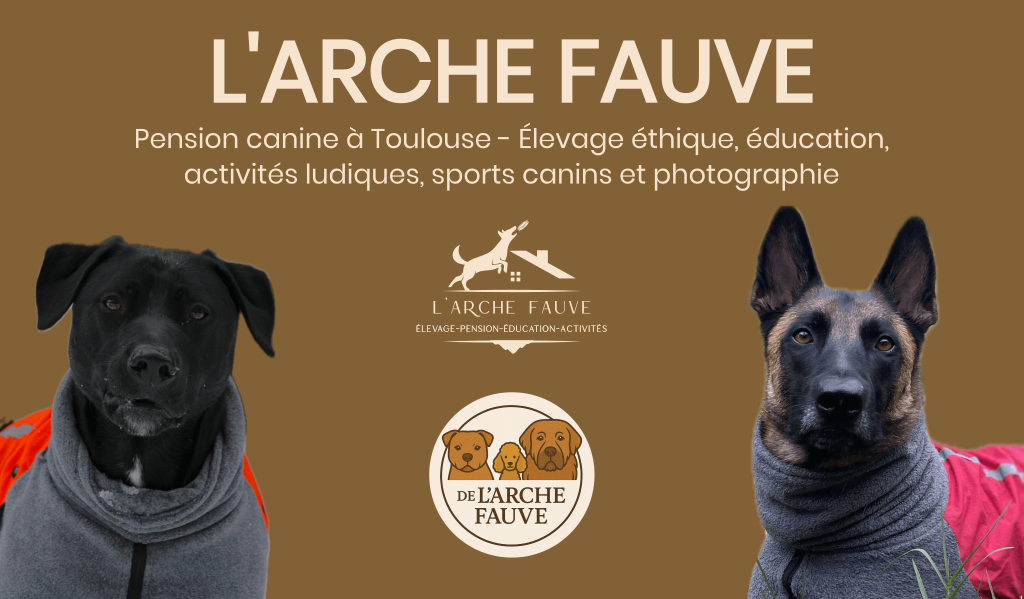 page d'acceuil Argos et marley