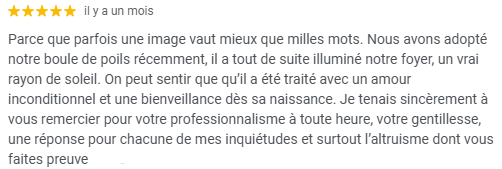 avis sur les services de l'arche fauve