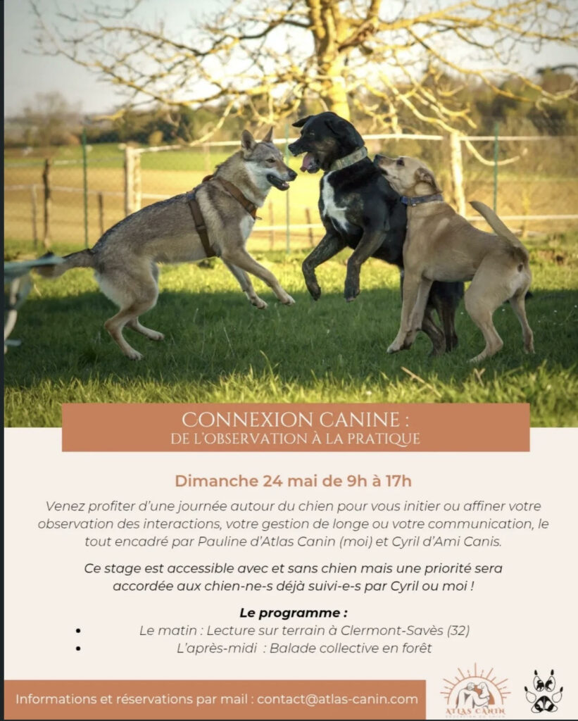 satge 2026 mes formations